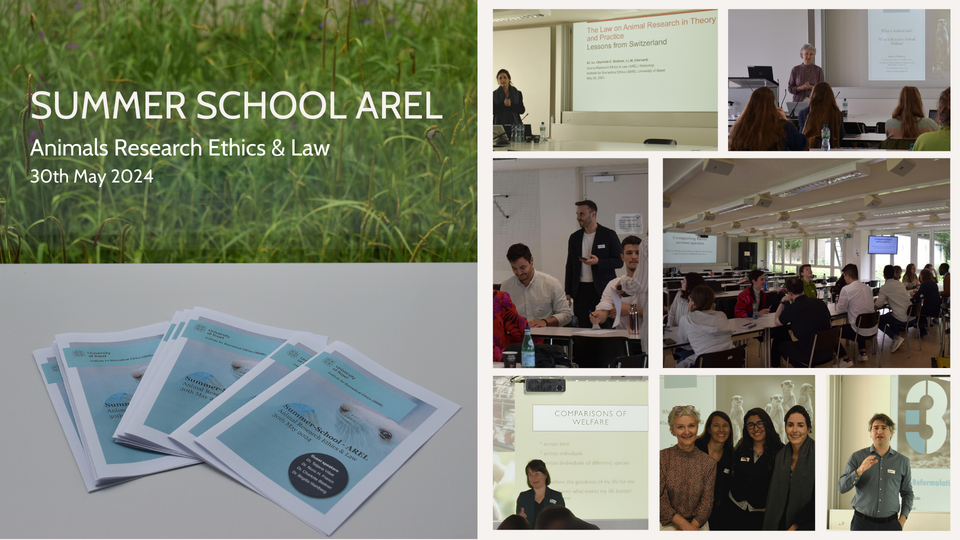 Collage Summer School AREL